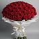 Букет 101 Красная роза Блэк Мэджик в Малке