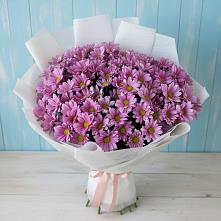 Букет цветов из:  Хризантемы в Малке