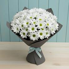 Букет цветов из:  Хризантемы #REPLACE_PRED# Малке